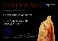Сертификат врача Егорова Д.В.