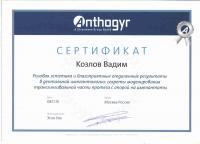 Сертификат врача Козлов В.С.