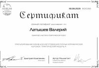 Сертификат врача Латышев В.И.