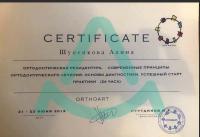 Сертификат врача Шуленкова А.А.