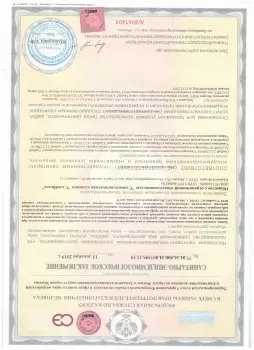 Сертификат отделения Молодогвардейская 15