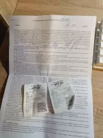 Наталья Дикарева, изображение к комментарию.