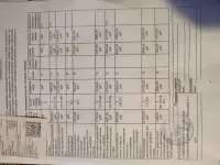 Филимонцева Анастасия, изображение к комментарию.