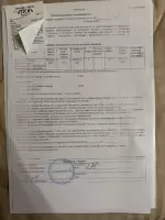 Татьяна Олонкина, изображение к комментарию.