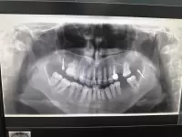 Майя Михайловна Скрипникова, изображение к комментарию.