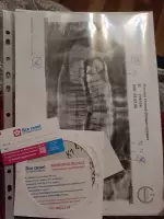 Евграф Светлов, изображение к комментарию.