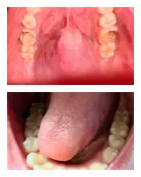 Алина Топал, изображение к комментарию.