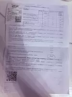 Алина Топал, изображение к комментарию.