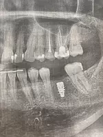 Евгения, изображение к комментарию.