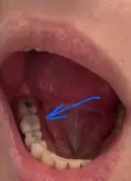 Евгения, изображение к комментарию.