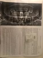 Оксана Шуманова, изображение к комментарию.