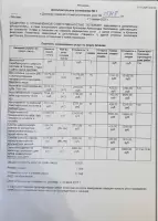 Анастасия Кулагина, изображение к комментарию.