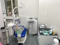 Элина Макарова, изображение к комментарию.