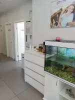 Карпов Владимир, изображение к комментарию.