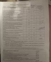 Яна Ледовская, изображение к комментарию.