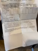 Ann Gorodetskaya, изображение к комментарию.