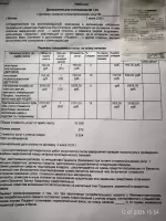 Дарья Шевлюга, изображение к комментарию.