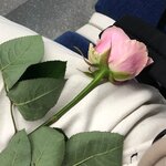 Юля Савельева