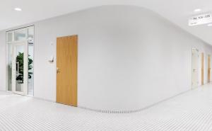 Фотография Чайка Метрополис 4