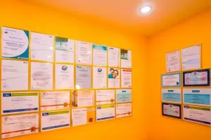 Фотография VivaDent 5