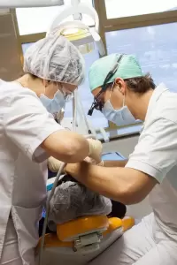 Фотография SHIFA 3