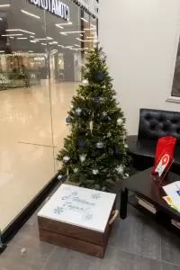 Фотография Стоматология 31 0