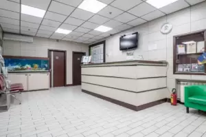 Фотография Добромед 5