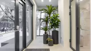 Фотография Belgravia Dental Studio/ Дентал Фэнтези 3